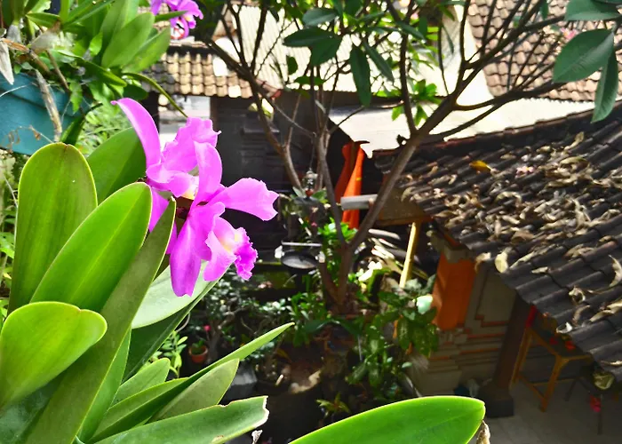 Bed & Breakfast Nyoman Badri 2*